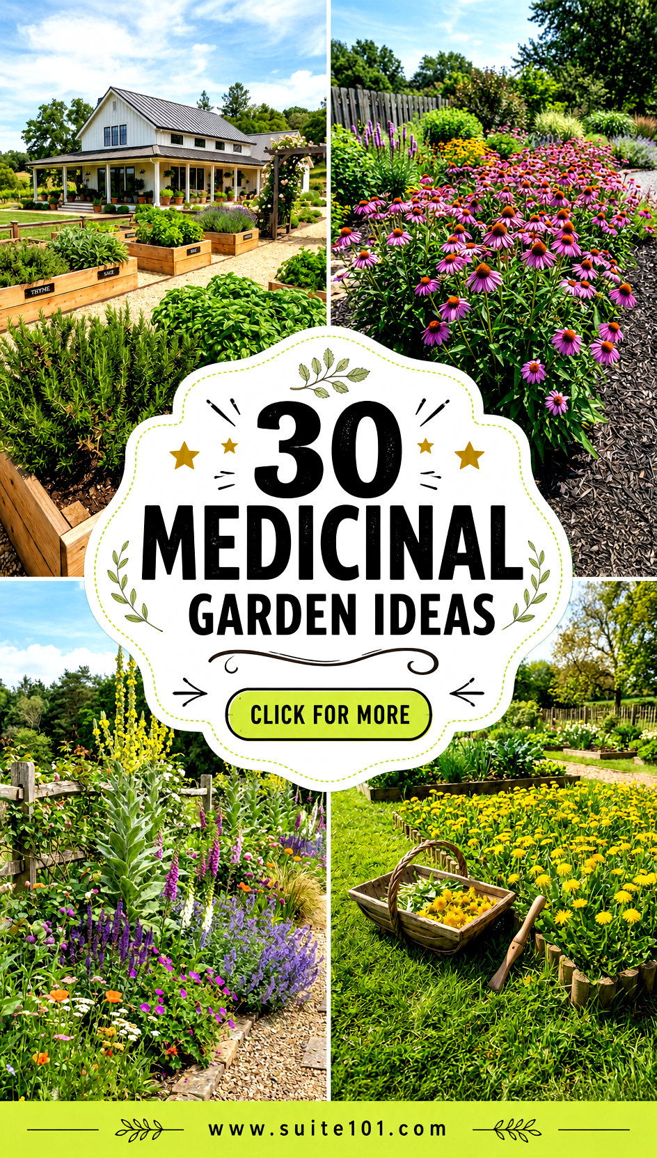 30 Medicinal Garden Ideas for a Healing Beautiful Backyard - 30 Medicinal Garden Ideas for a Healing, Beautiful Backyard