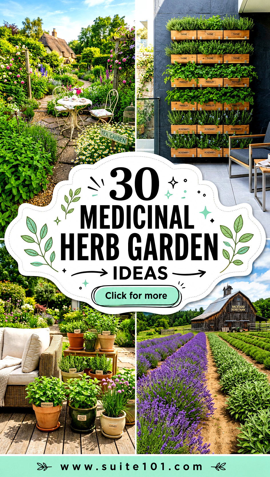30 Medicinal Herb Garden Ideas for a Fragrant Healing Setup - 30 Medicinal Herb Garden Ideas for a Fragrant Healing Setup