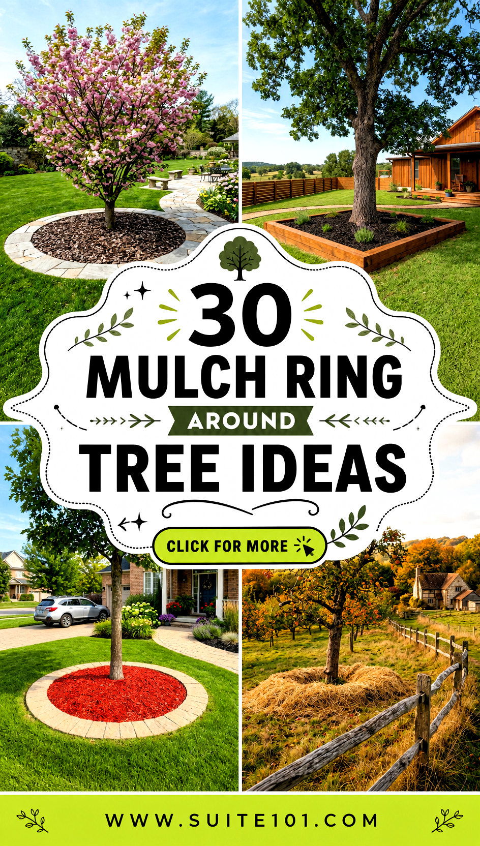 30 Mulch Ring Around Tree Ideas Prevent Weeds Retain Moisture - 30 Mulch Ring Around Tree Ideas: Prevent Weeds, Retain Moisture