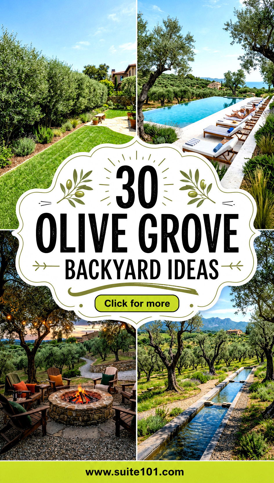 30 Olive Grove Backyard Ideas for an Enchanting Outdoor Retreat - 30 Olive Grove Backyard Ideas for an Enchanting Outdoor Retreat