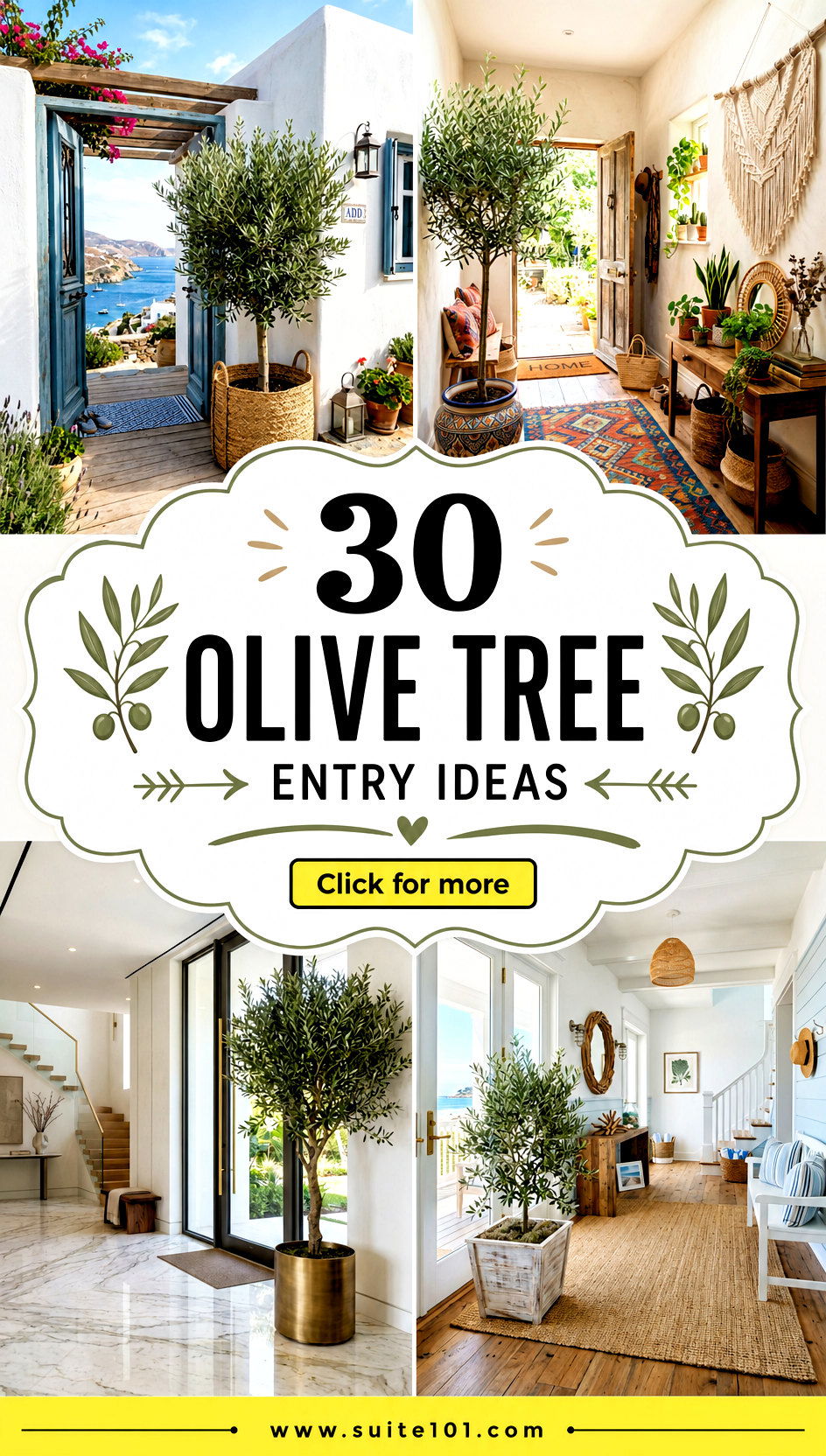 30 Olive Tree Entry Ideas for a Warm First Impression Today - 30 Olive Tree Entry Ideas for a Warm First Impression Today