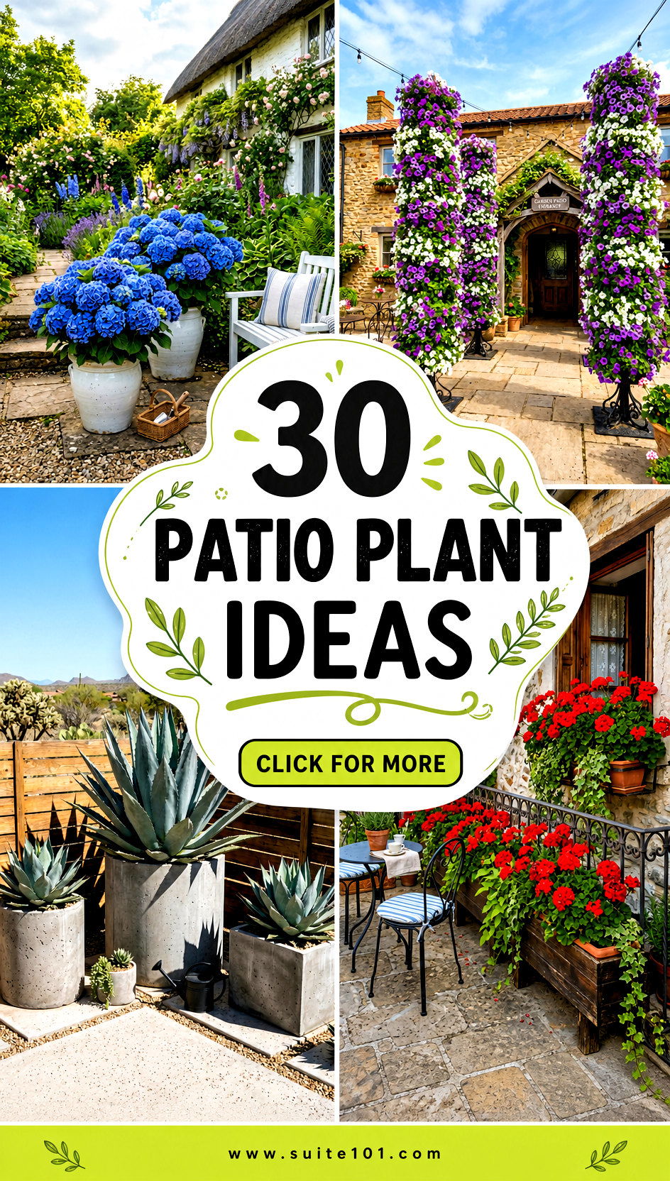 30 Patio Plant Ideas to Create a Lush Container Garden Fast - 30 Patio Plant Ideas to Create a Lush Container Garden Fast