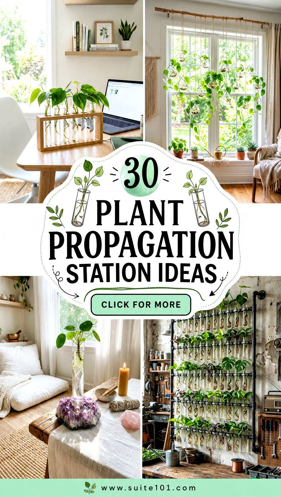 30 Plant Propagation Station Ideas for More Plants Faster - 30 Plant Propagation Station Ideas for More Plants Faster