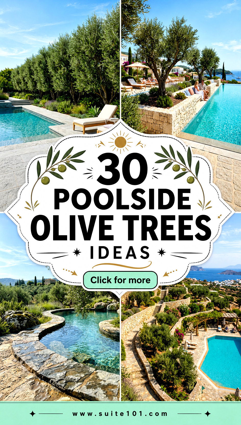 30 Poolside Olive Trees Ideas to Create Mediterranean Vibes - 30 Poolside Olive Trees Ideas to Create Mediterranean Vibes