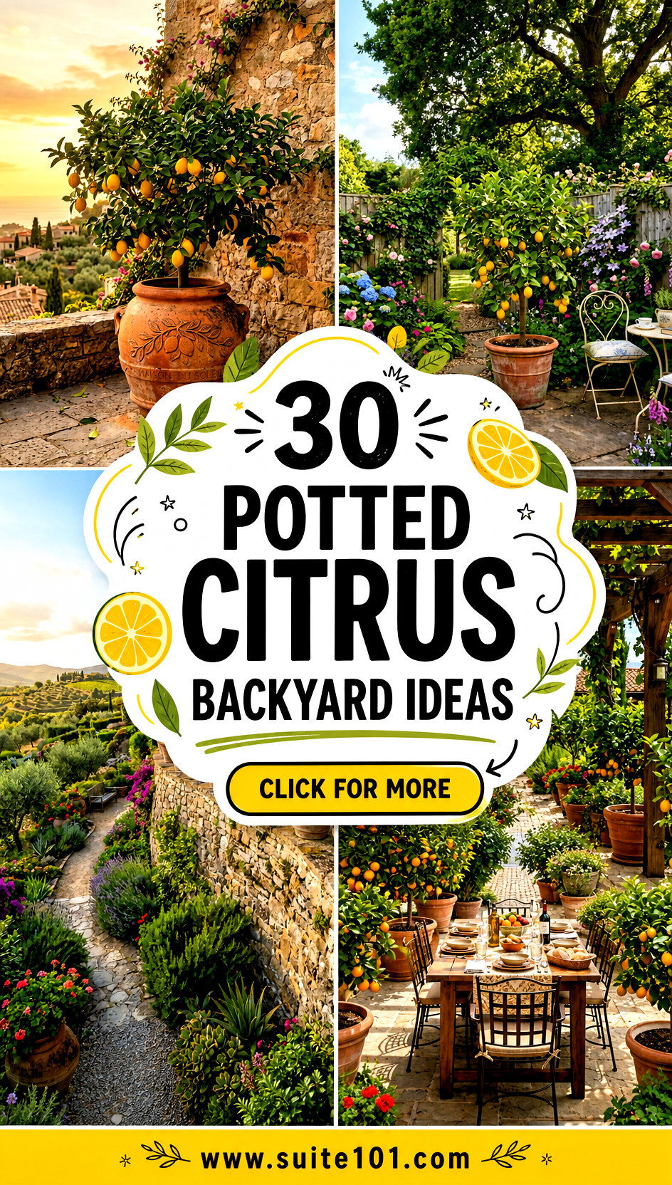 30 Potted Citrus Backyard Ideas for Instant Mediterranean Vibes - 30 Potted Citrus Backyard Ideas for Instant Mediterranean Vibes