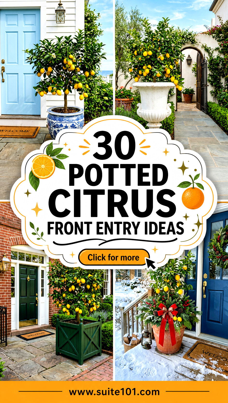30 Potted Citrus Front Entry Ideas to Welcome Guests in Style - 30 Potted Citrus Front Entry Ideas to Welcome Guests in Style