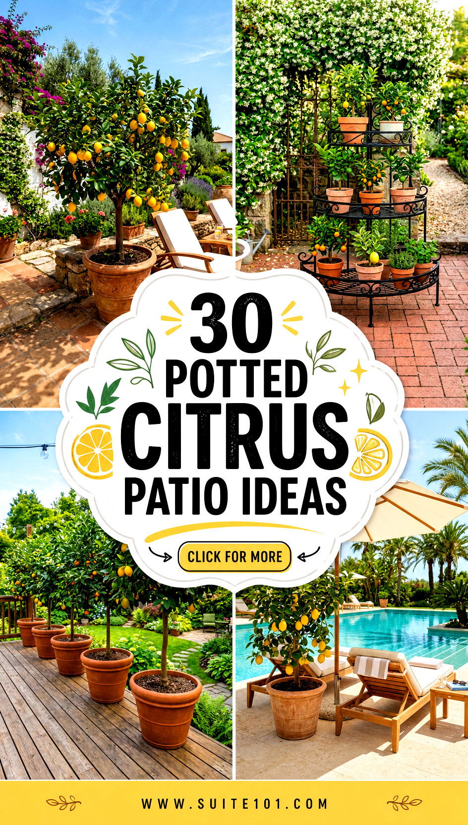 30 Potted Citrus Patio Ideas to Grow Fresh Flavor Near Home - 30 Potted Citrus Patio Ideas to Grow Fresh Flavor Near Home