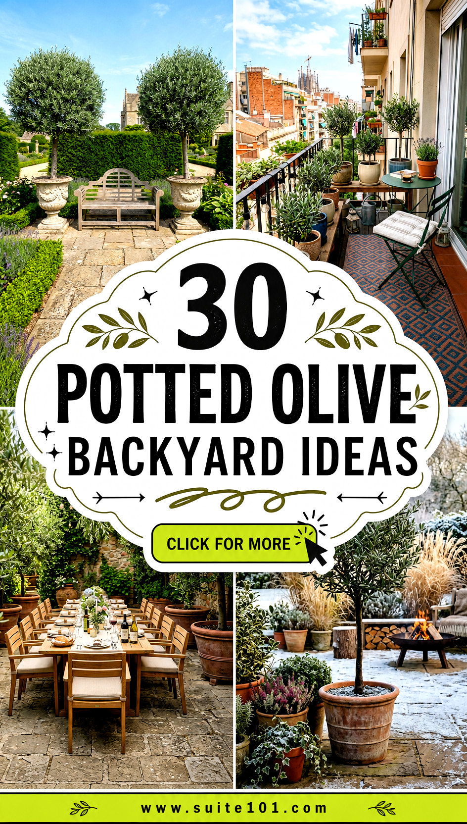 30 Potted Olive Backyard Ideas for a Fresh Tree-Lined Look - 30 Potted Olive Backyard Ideas for a Fresh, Tree-Lined Look