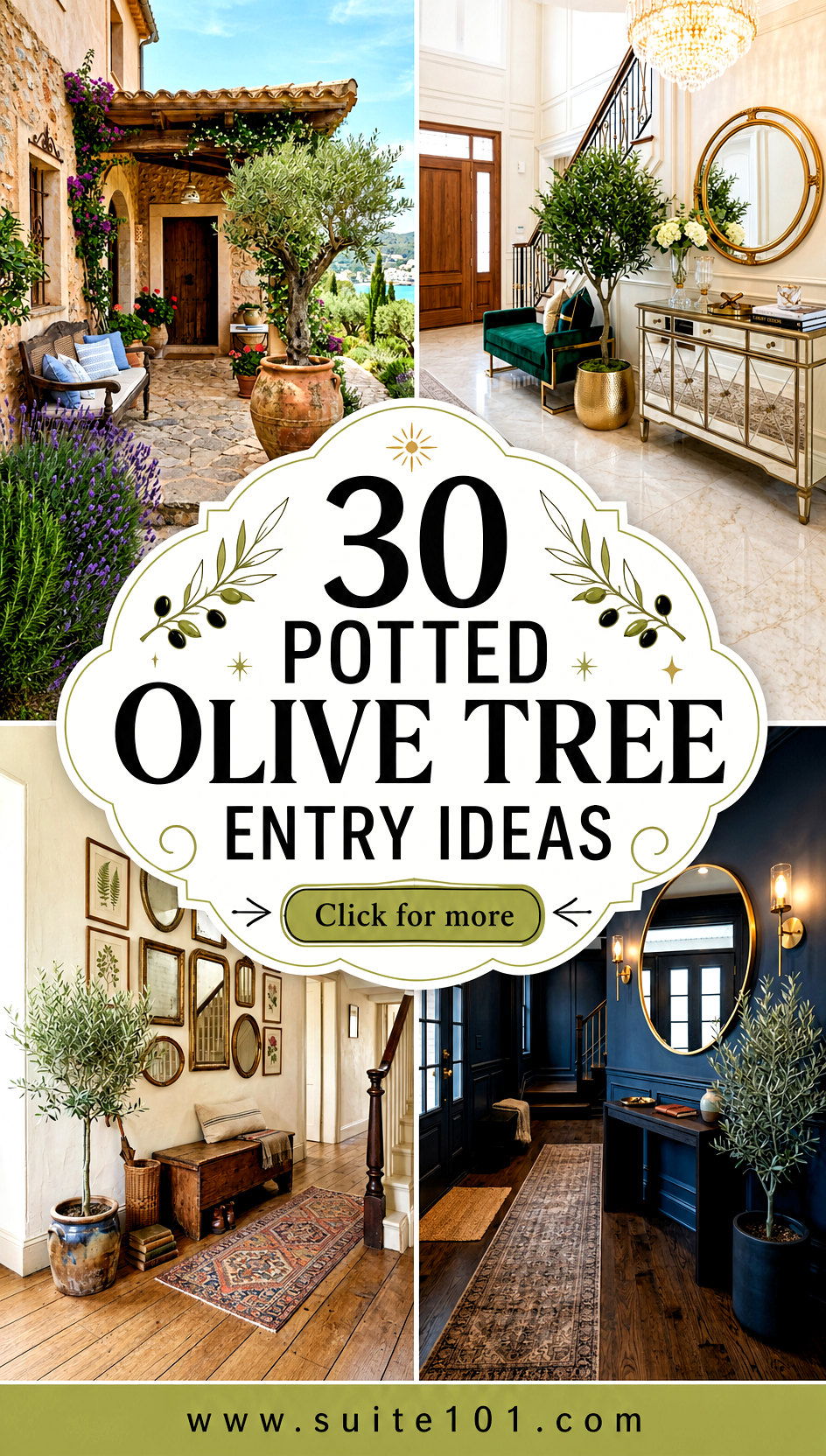 30 Potted Olive Tree Entry Ideas for a Mediterranean Welcome - 30 Potted Olive Tree Entry Ideas for a Mediterranean Welcome