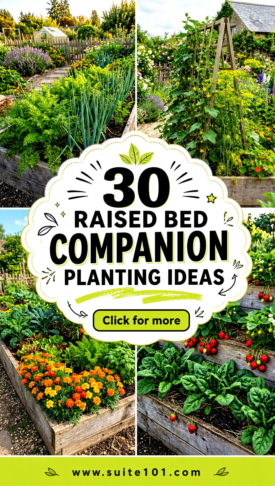 30 Raised Bed Companion Planting Ideas for Higher Yields - 30 Raised Bed Companion Planting Ideas for Higher Yields