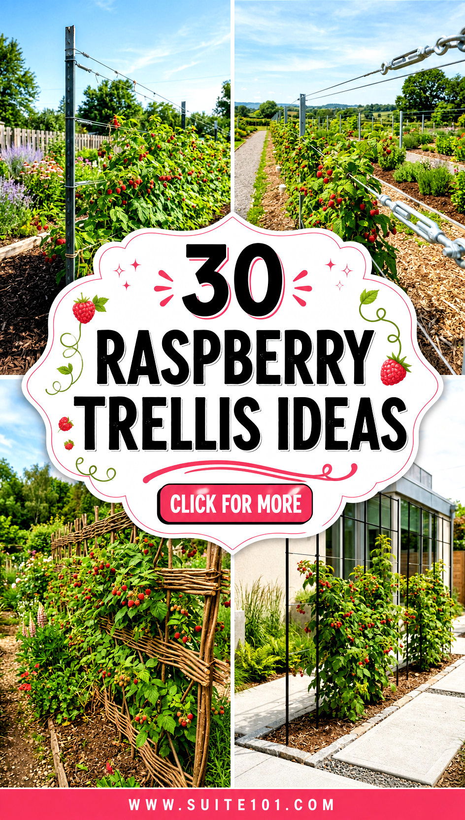 30 Raspberry Trellis Ideas to Grow Bigger Berries Faster - 30 Raspberry Trellis Ideas to Grow Bigger Berries Faster