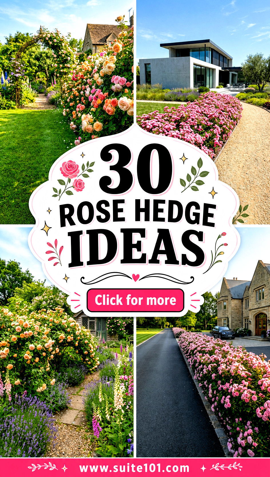 30 Rose Hedge Ideas for a Stunning Lush Landscape Today - 30 Rose Hedge Ideas for a Stunning, Lush Landscape Today