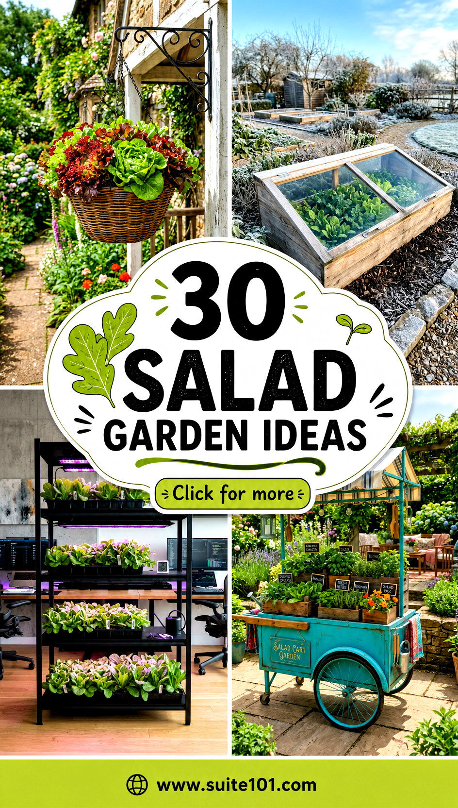 30 Salad Garden Ideas for Fresh Harvests All Season Long - 30 Salad Garden Ideas for Fresh Harvests All Season Long