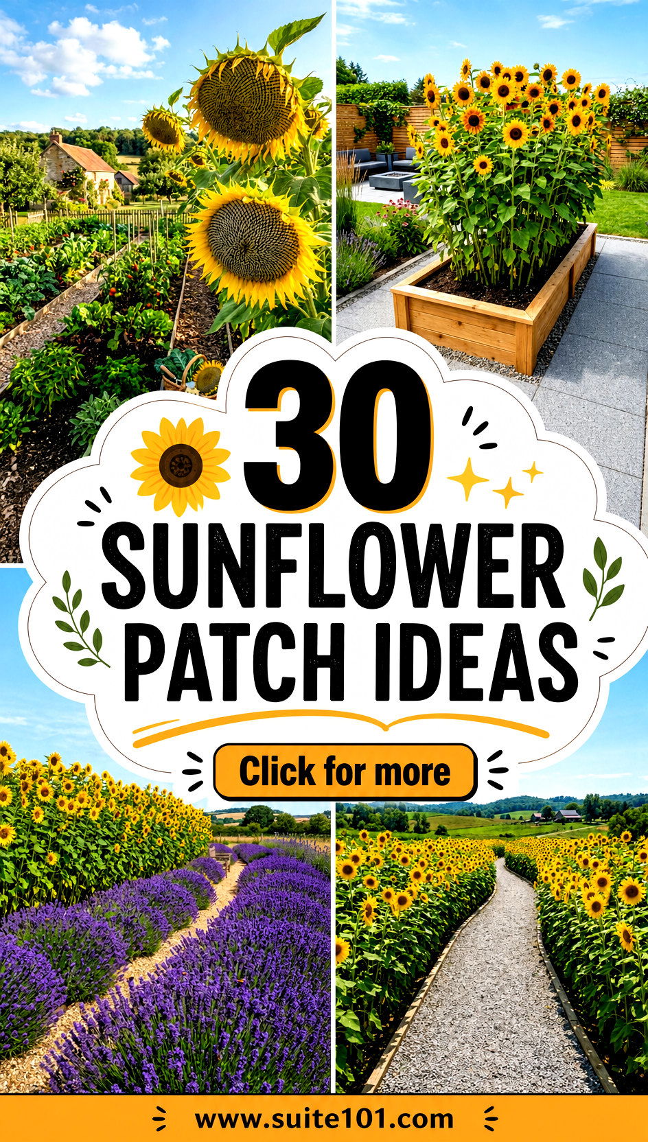 30 Sunflower Patch Ideas to Plan Rows Color and Big Growth - 30 Sunflower Patch Ideas to Plan Rows, Color, and Big Growth