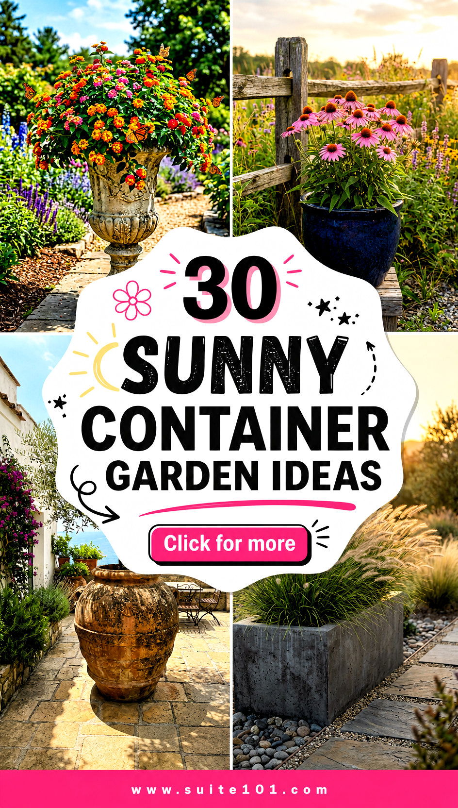 30 Sunny Container Garden Ideas for Big Blooms in Small Pots - 30 Sunny Container Garden Ideas for Big Blooms in Small Pots