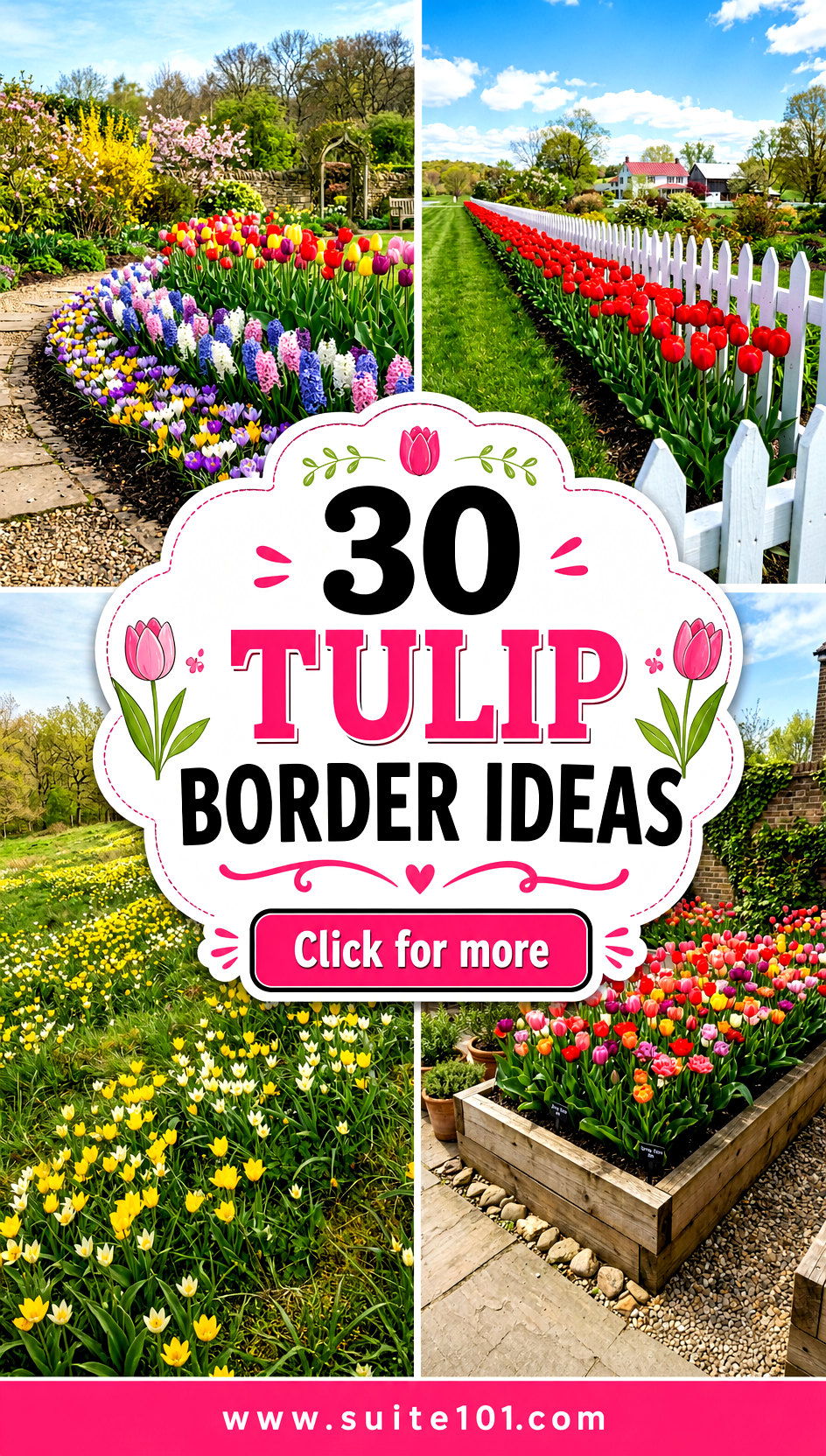 30 Tulip Border Ideas for Colorful Spring Gardens with Layouts - 30 Tulip Border Ideas for Colorful Spring Gardens with Layouts