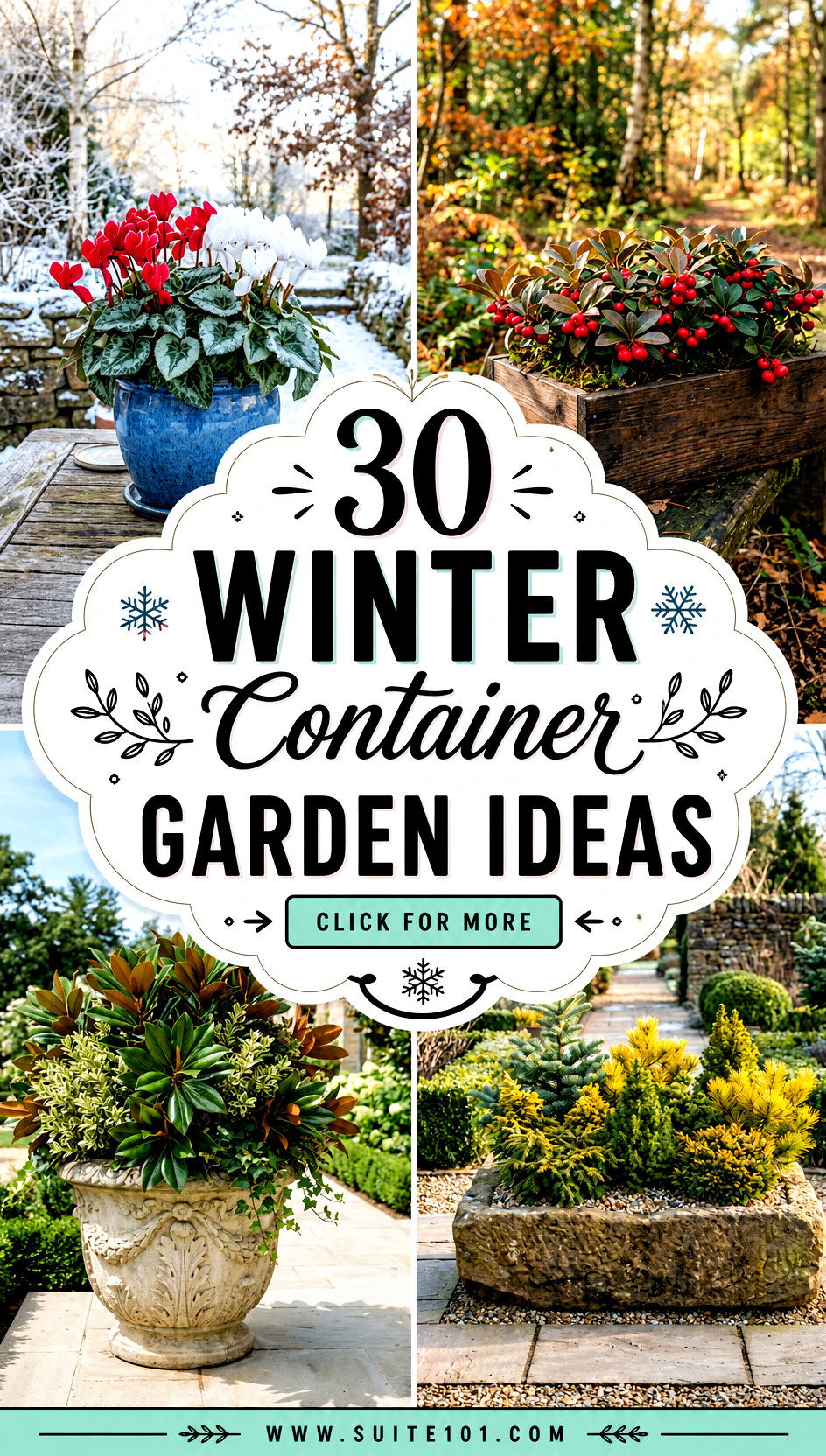 30 Winter Container Garden Ideas to Grow Greens in Pots - 30 Winter Container Garden Ideas to Grow Greens in Pots