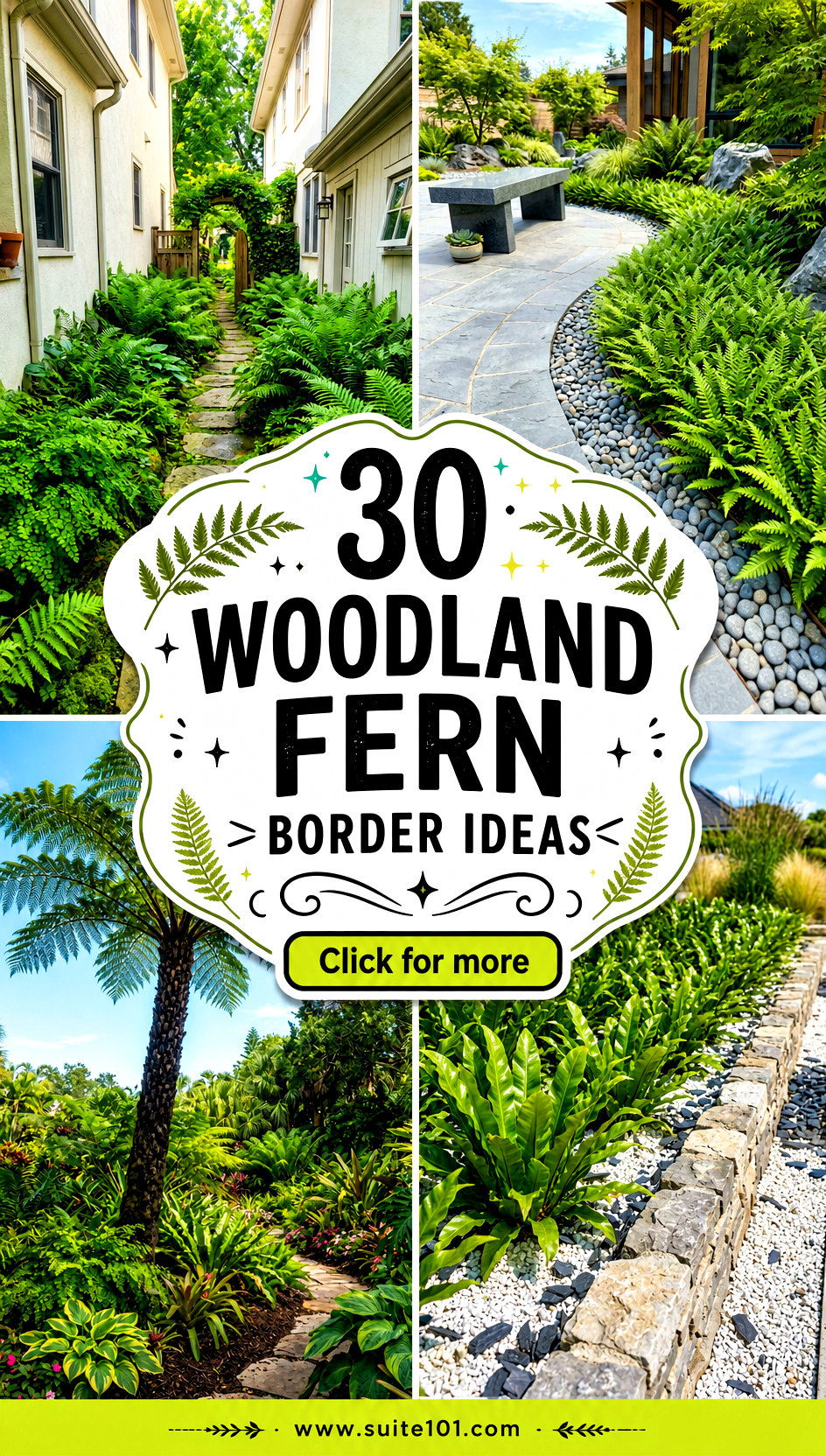 30 Woodland Fern Border Ideas for Lush Green Edging in Any Garden - 30 Woodland Fern Border Ideas for Lush Green Edging in Any Garden