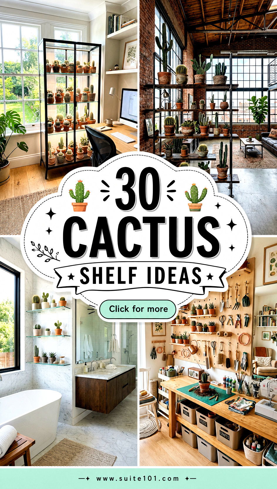 30 cactus shelf ideas to Style a Fresh Green Moment in Minutes - 30 cactus shelf ideas to Style a Fresh Green Moment in Minutes