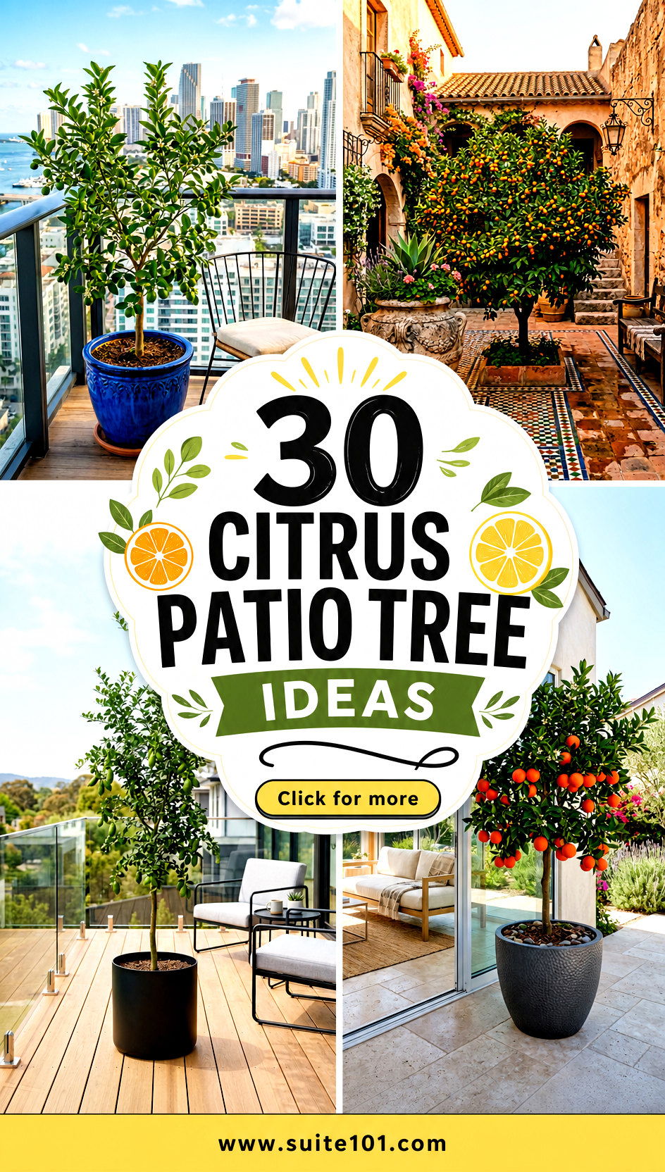 30 citrus patio tree ideas for a Bright Fresh Outdoor Glow - 30 citrus patio tree ideas for a Bright, Fresh Outdoor Glow