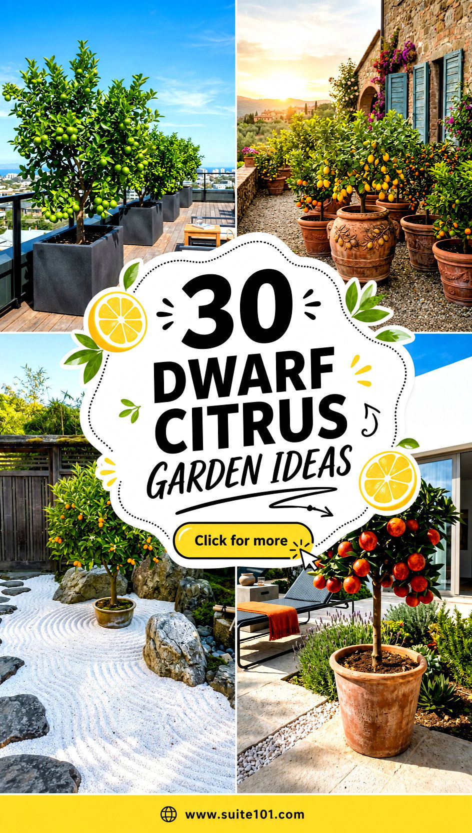 30 dwarf citrus garden ideas for Patio Trees That Thrive - 30 dwarf citrus garden ideas for Patio Trees That Thrive