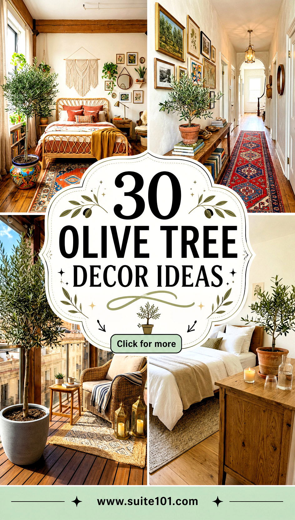 30 olive tree decor ideas Realistic Finds and Styling Tips - 30 olive tree decor ideas: Realistic Finds and Styling Tips