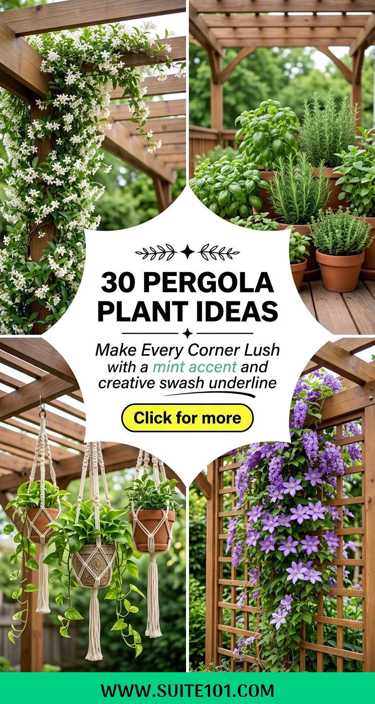 30 pergola plant ideas to Make Every Corner Feel Lush and Green - 30 pergola plant ideas to Make Every Corner Feel Lush and Green