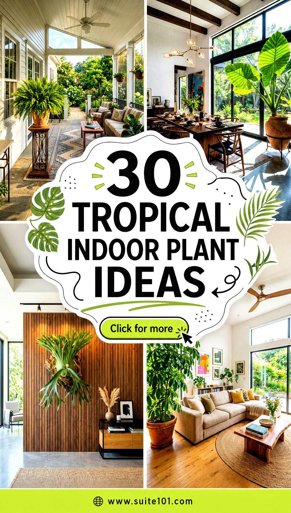 30 tropical indoor plant ideas Bring Lush Green Energy Home - 30 tropical indoor plant ideas: Bring Lush Green Energy Home