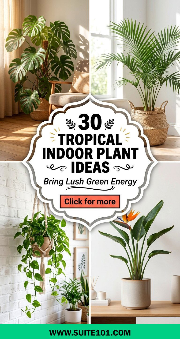 30 tropical indoor plant ideas Bring Lush Green Energy Home - 30 tropical indoor plant ideas: Bring Lush Green Energy Home