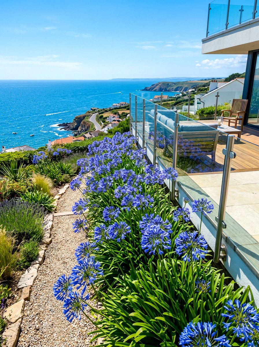 Agapanthus Garden Border - 30 bulb garden ideas