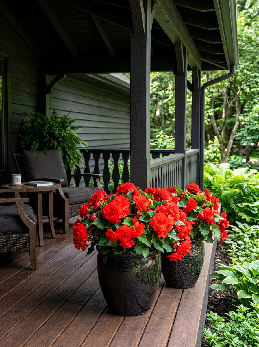 Begonia shade containers - 30 porch container garden ideas