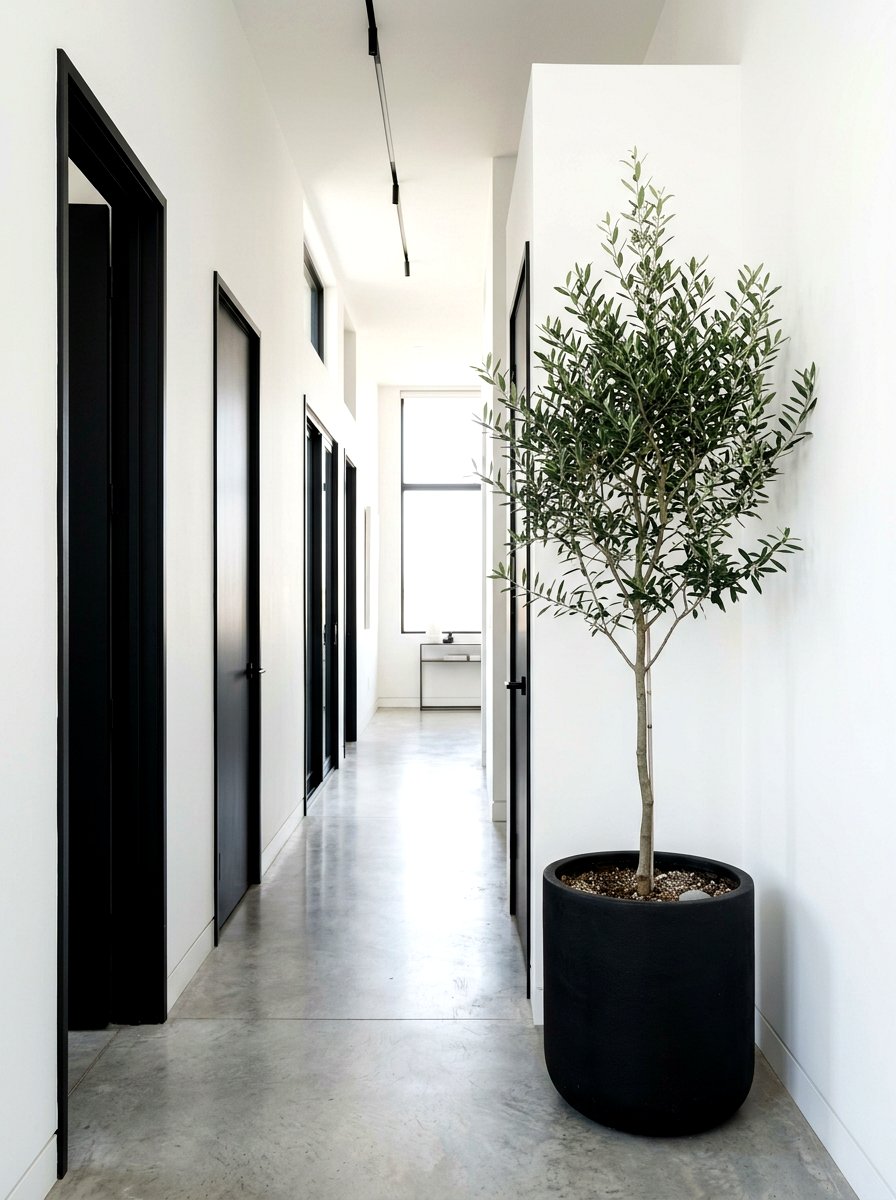 Black Pot Olive Tree - 30 olive tree entry ideas