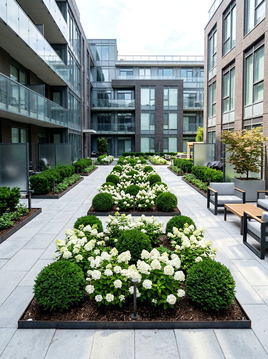 Dwarf hydrangea and boxwood sphere border - 30 evergreen and hydrangea landscape ideas