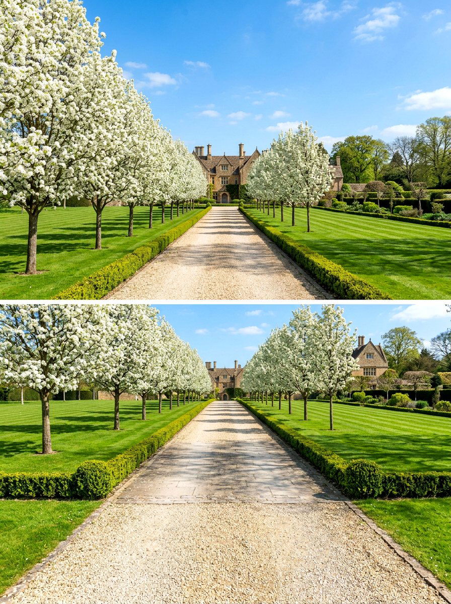 Flowering Pear Tree - 30 flowering tree garden ideas