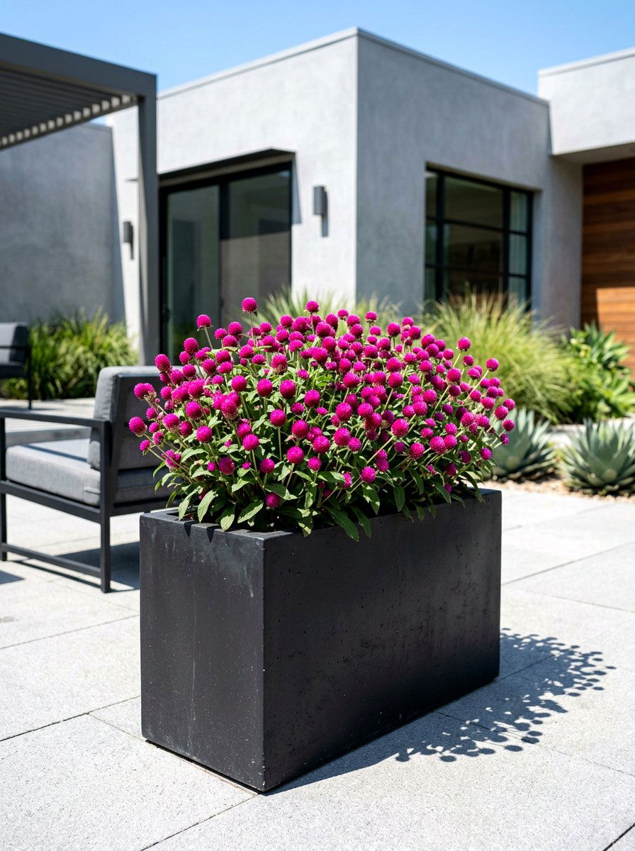 Fragrant garden plants for sun - 30 sunny flower bed ideas
