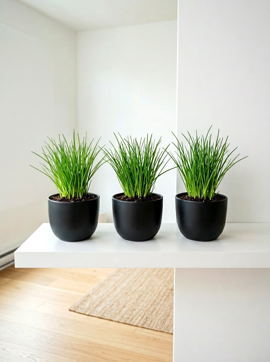 Minimalist ceramic herb garden - 30 apartment herb garden ideas