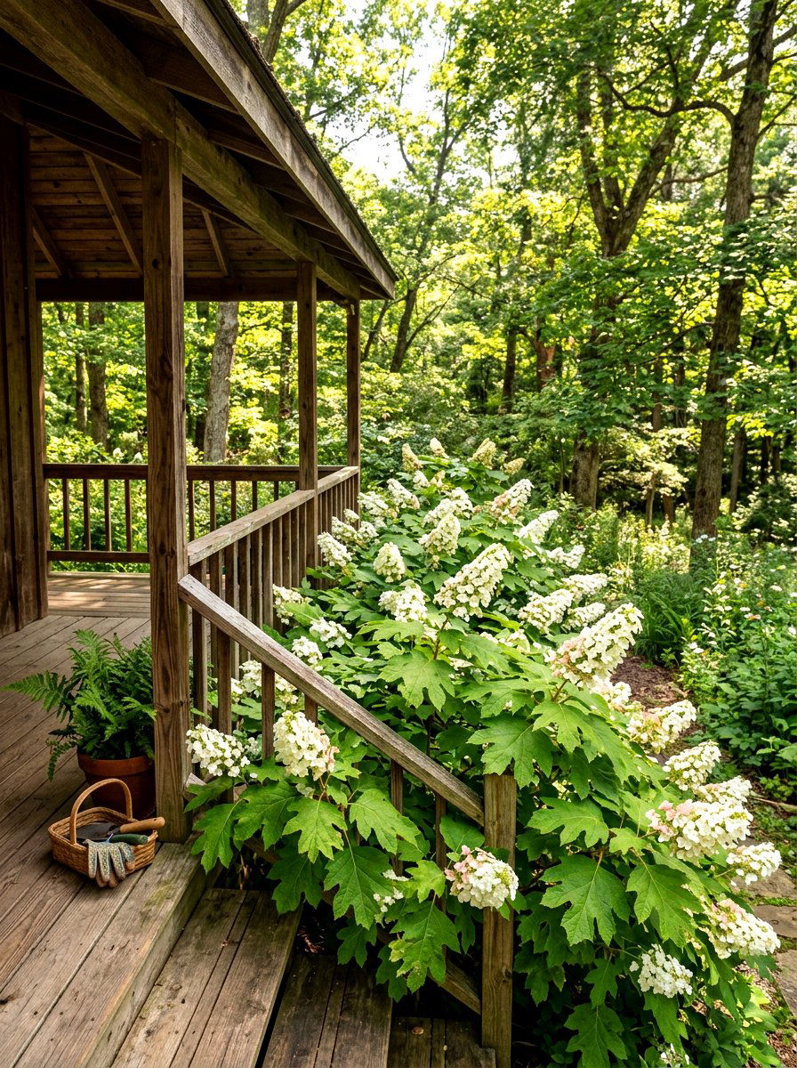 Oakleaf hydrangea porch garden - 30 hydrangea heavy front porch ideas