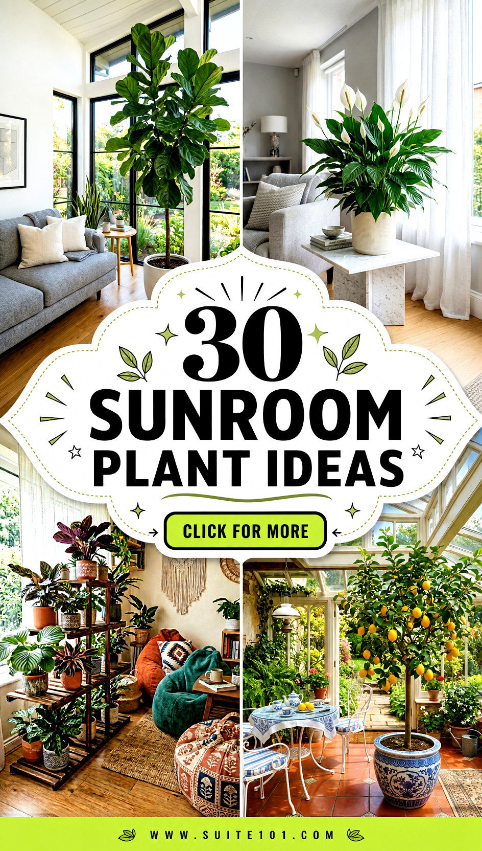 Sunroom Plant Ideas 30 Easy Green Picks to Thrive Year-Round - Sunroom Plant Ideas: 30 Easy Green Picks to Thrive Year-Round