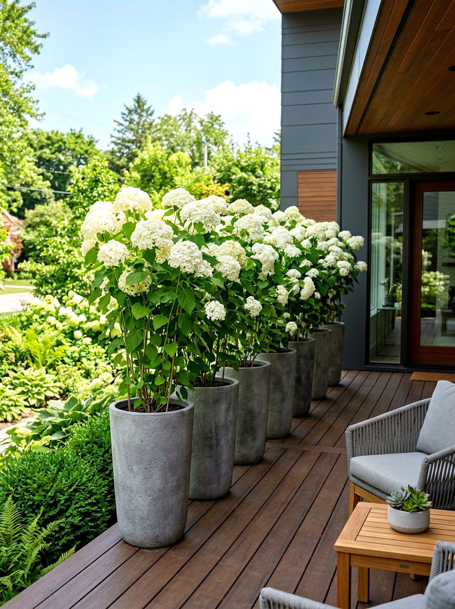 Tall hydrangea planters for porch privacy - 30 hydrangea heavy front porch ideas